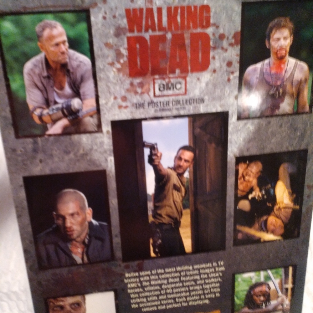 Walking Dead Poster Collection Excellent Condition - Picture 2 of 8